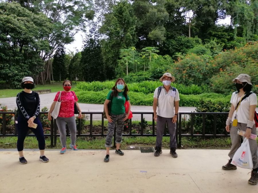 Tree Planting At Pulau Ubin Cicada Tree Eco Place