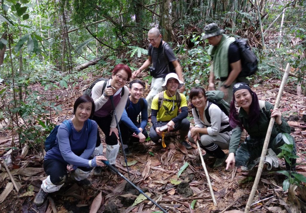 save the malayan tiger – Cicada Tree Eco-Place